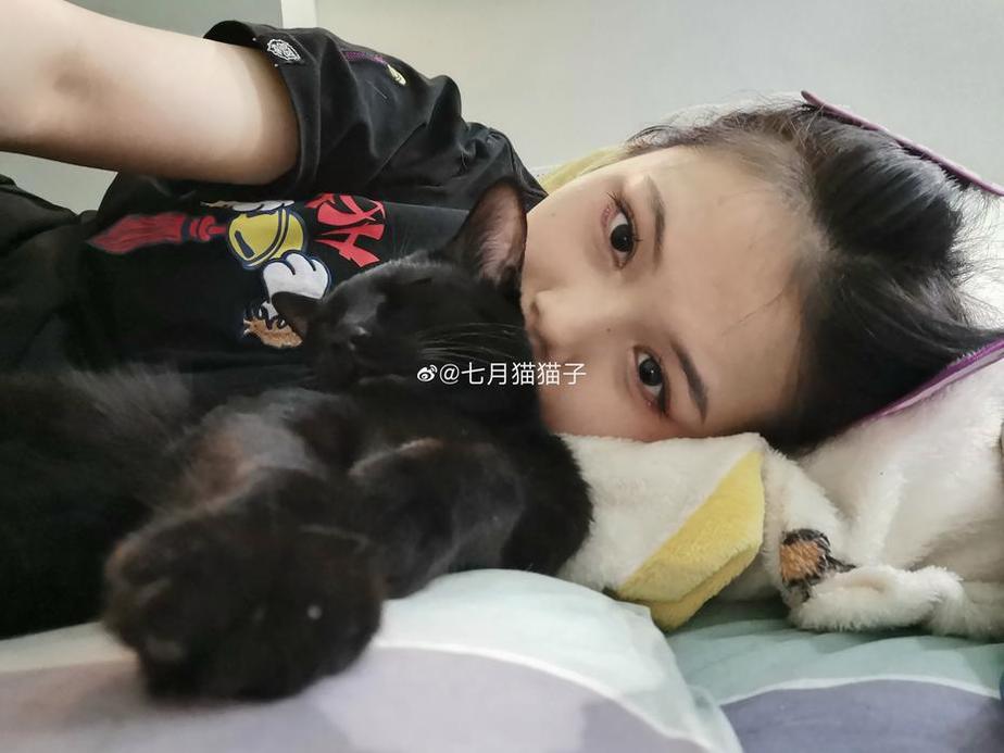 黑料不打样166.su：最方便的网址导航入口